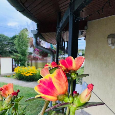 Cozy Garden Apartman Apartman Gyula Kültér fotó