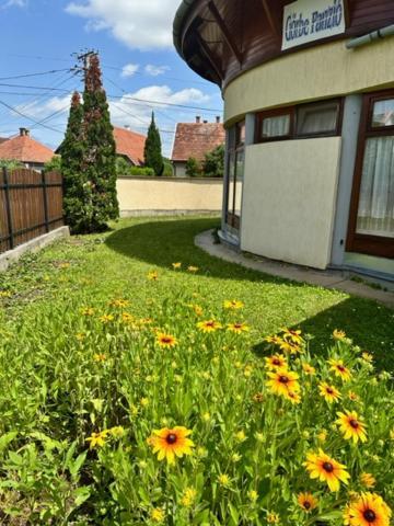Cozy Garden Apartman Apartman Gyula Kültér fotó